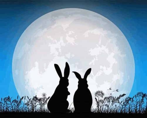 Rabbit And The Moon Painting By Number