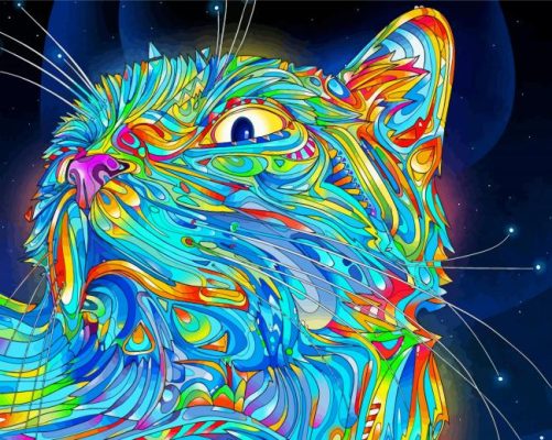 Rainbow Psychedelic Cat Paint By Numbers