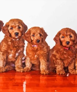 Red Golden Doodle Puppies Paint By Number