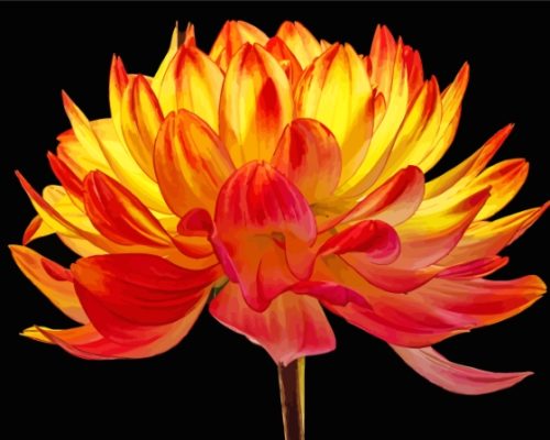 Red Orange Dahlia Flower Paint By Number