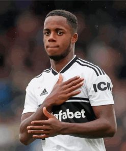 Ryan Sessegnon Player Paint By Numbers