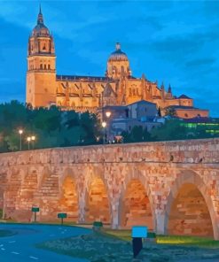 Salamanca Spain Painting By Number