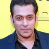 The Indian Actor Salman Khan Paint By Number