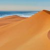 Sand Dunes Desert Beach Paint By Number