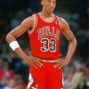 Scottie Pippen Basketball Player Paint By Numbers