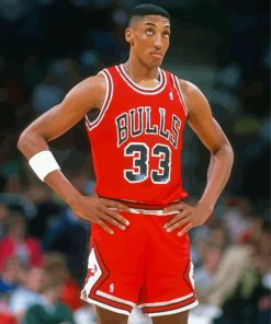 Scottie Pippen Basketball Player Paint By Numbers