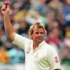 Shane Warne Cricket Player Paint By Numbers