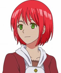 Shirayuki Anime Girl Painting By Numbers