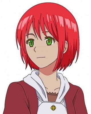 Shirayuki Anime Girl Painting By Numbers