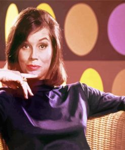 The Mary Tyler Moore Paint By Number