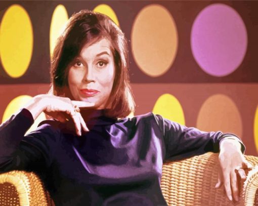 The Mary Tyler Moore Paint By Number