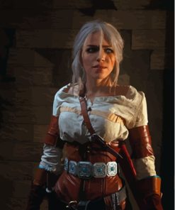 The Witcher Cirilla Character Paint By Number