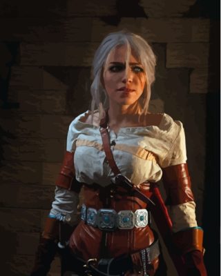 The Witcher Cirilla Character Paint By Number