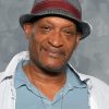 Tony Todd American Actor Paint By Number