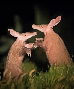 Two Aardvark Fighting Paint By Number