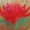 Red Waratah Flowers Art Paint By Number