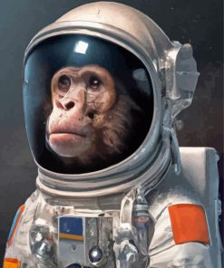 Space Astronaut Chimp Paint By Number