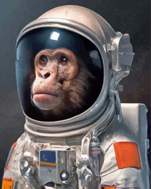 Space Astronaut Chimp Paint By Number