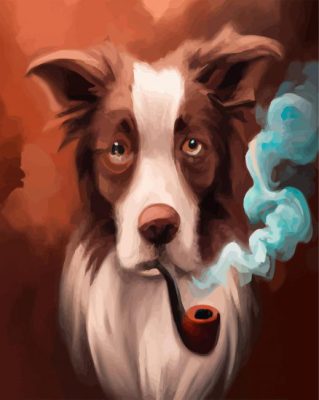 Border Collie Paint By Number