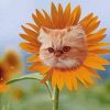 Cute Cat Sunflower Head Paint By Number