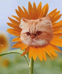 Cute Cat Sunflower Head Paint By Number