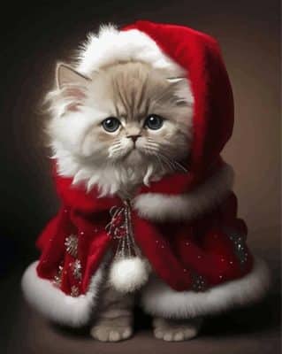 Cute Christmas Cat Paint By Number