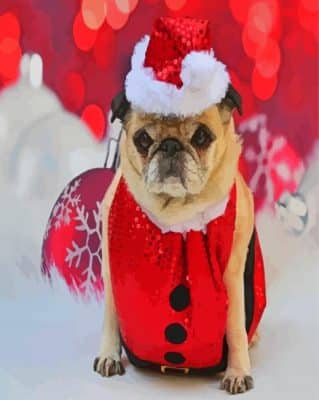 Cute Pug At Christmas Paint By Number