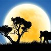 Elephant Moon Silhouette Paint By Number