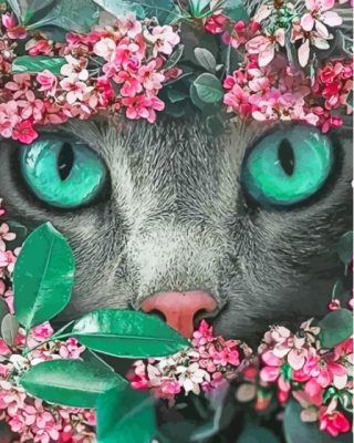 Floral Cat Paint By Number