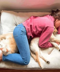 Girl Sleeping With Pets Paint By Numbers