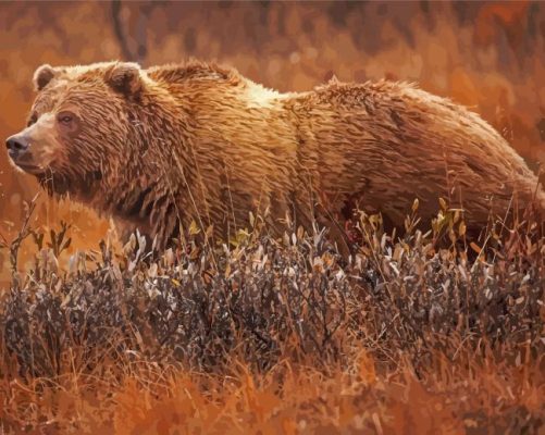 Grizzly Paint By Number