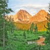 Idaho Forest Landscape Paint By Number