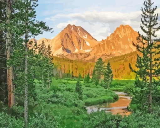 Idaho Forest Landscape Paint By Number