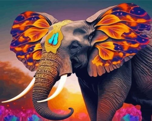 Indian Butterfly Elephant Paint By Numbers