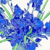 Irises Bouquet Art Paint By Number