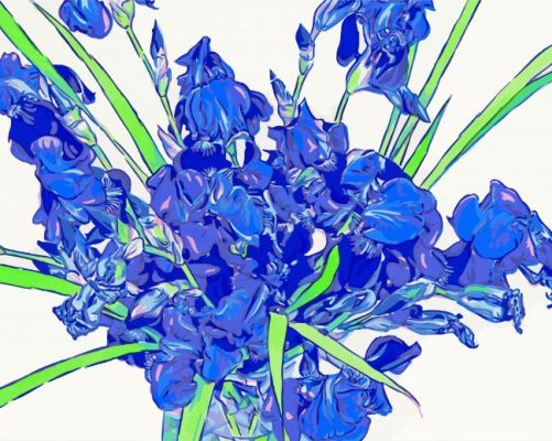 Irises Bouquet Art Paint By Number