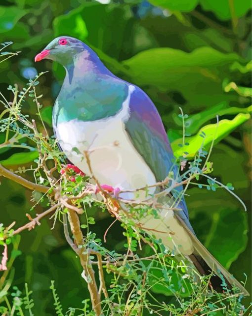 Kereru Bird Paint By Numbers