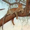 Leopard In Tree Paint By Numbers