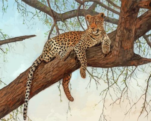Leopard In Tree Paint By Numbers