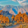 Lone Pine California Paint By Numbers