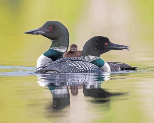 Loons Family On Lake Paint By Number