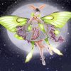 Moon Moth Fairy Paint By Number