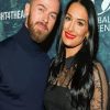 Nikki Bella And Artem Chigvintsev Paint By Number