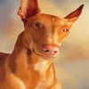 Pharaoh Hound Dog Paint By Numbers