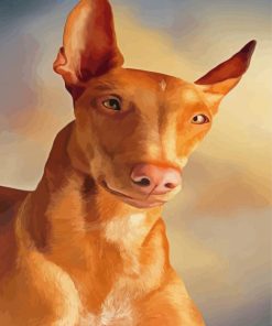 Pharaoh Hound Dog Paint By Numbers