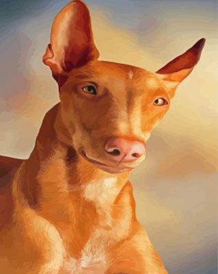 Pharaoh Hound Dog Paint By Numbers