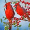 Red Cardinals Paint By Number