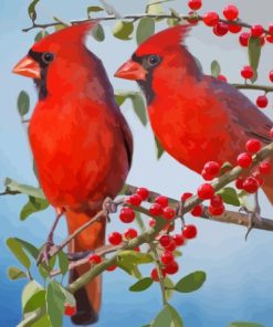 Red Cardinals Paint By Number