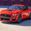 Ford Shelby Gt Painting By Numbers