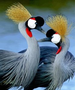 Royal Crane African Birds Paint By Number